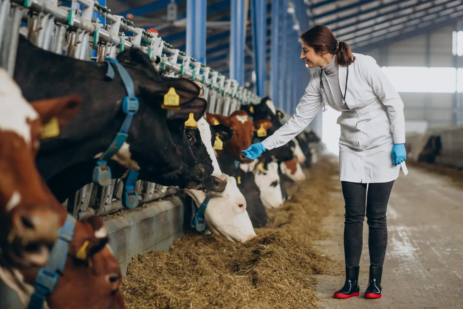 What Is Agriculture