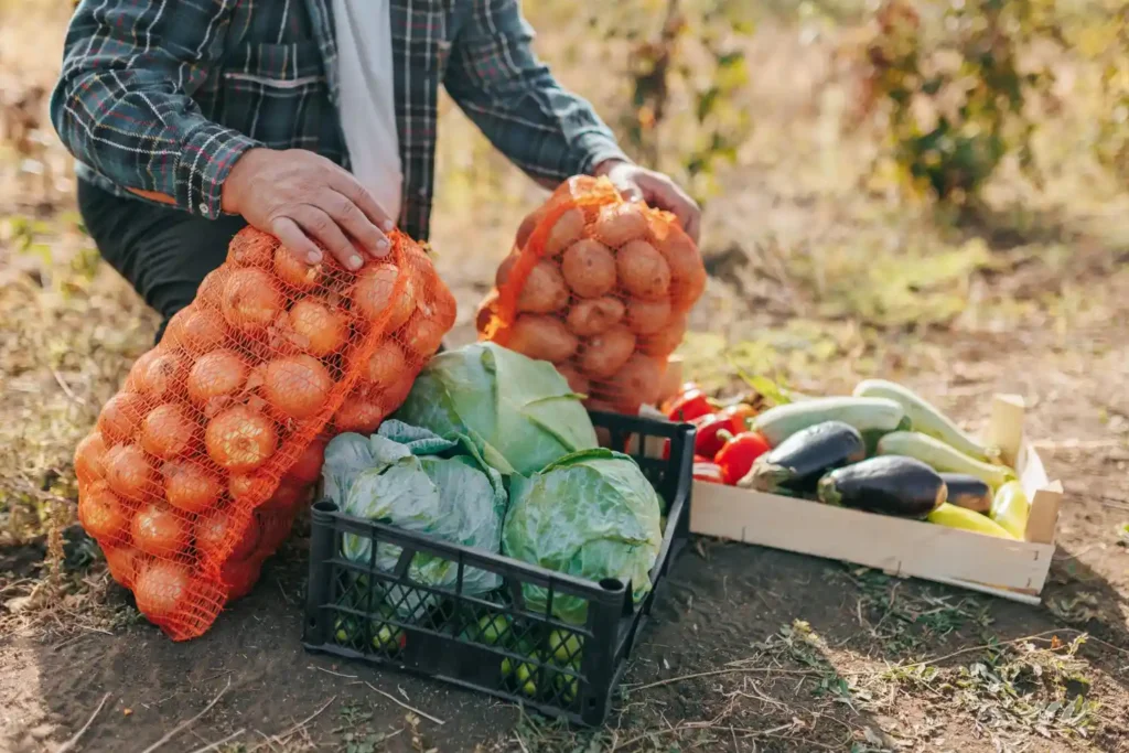 Why Is Agriculture Important