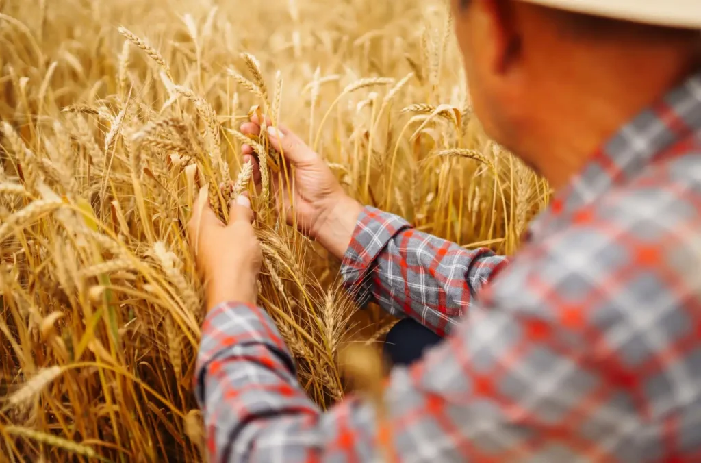 What Is Agriculture