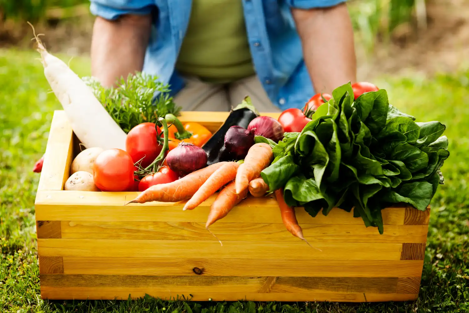 Why Is Agriculture Important
