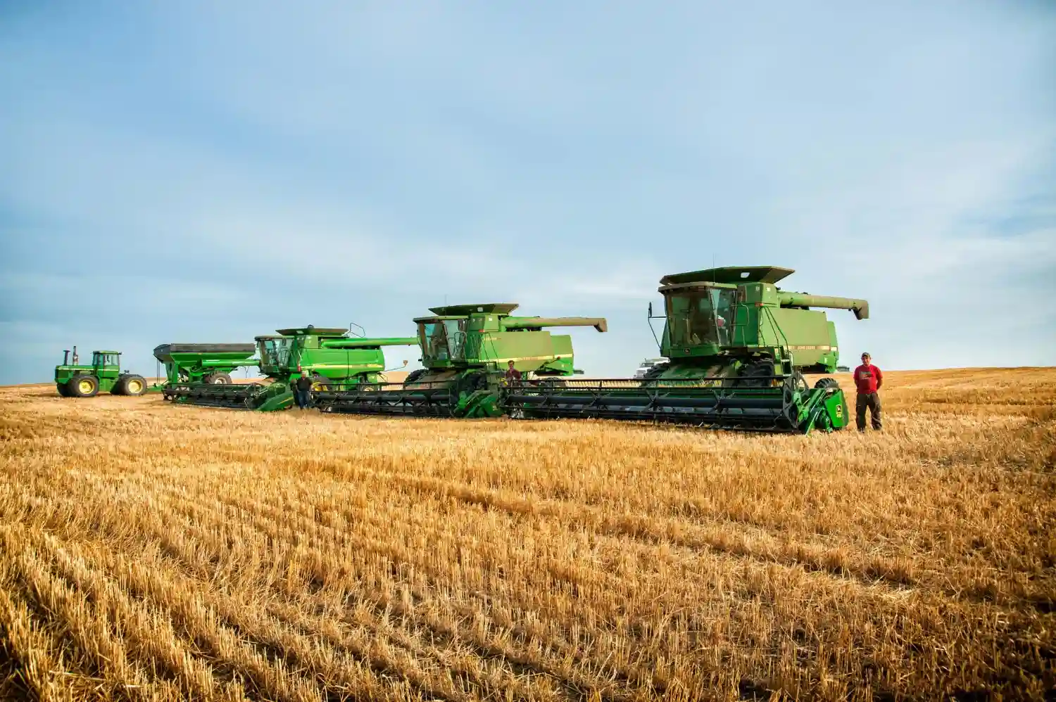 What Is Agriculture