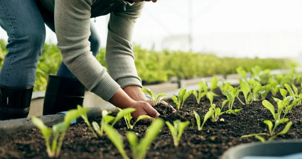 What Is Agriculture