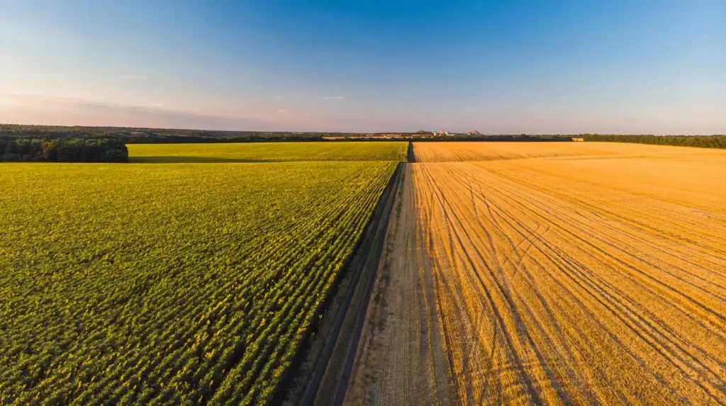 What Is Agriculture